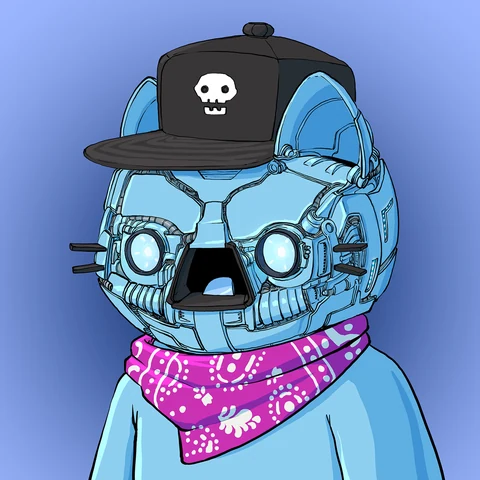 Kumo Cool Cat 02